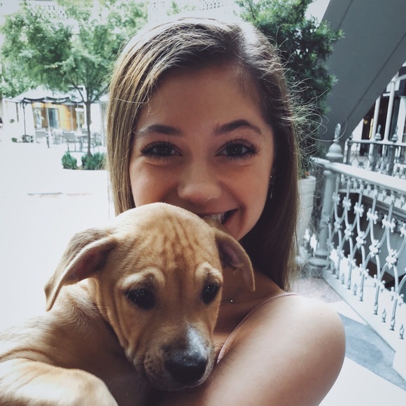 Meet your Posher, Sophia - Picture 1 of 1